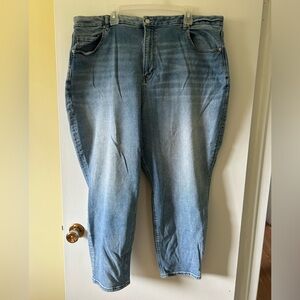 American Eagle - Plus Size Jeans